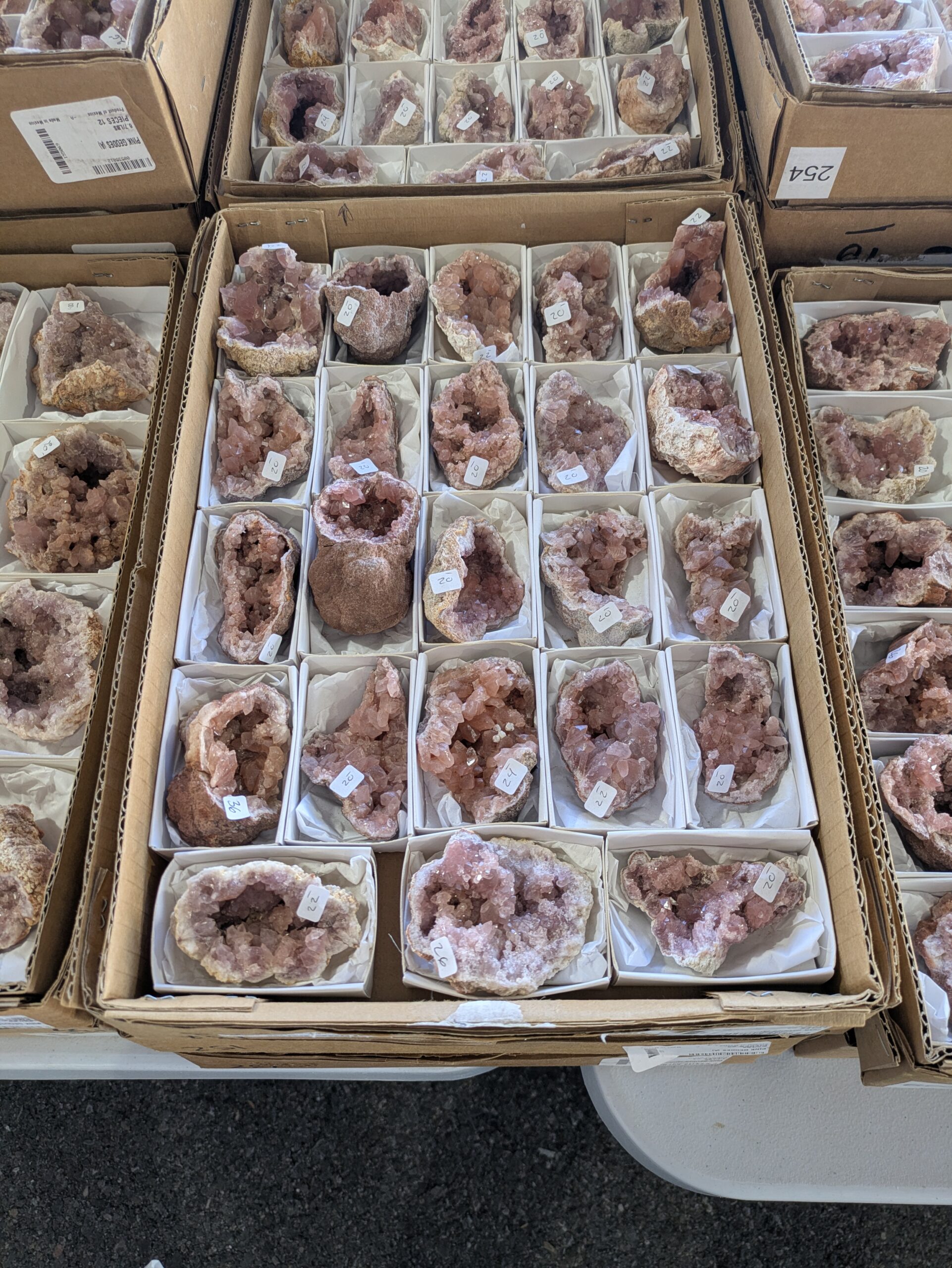 ツーソンジェムショーで販売される鉱物